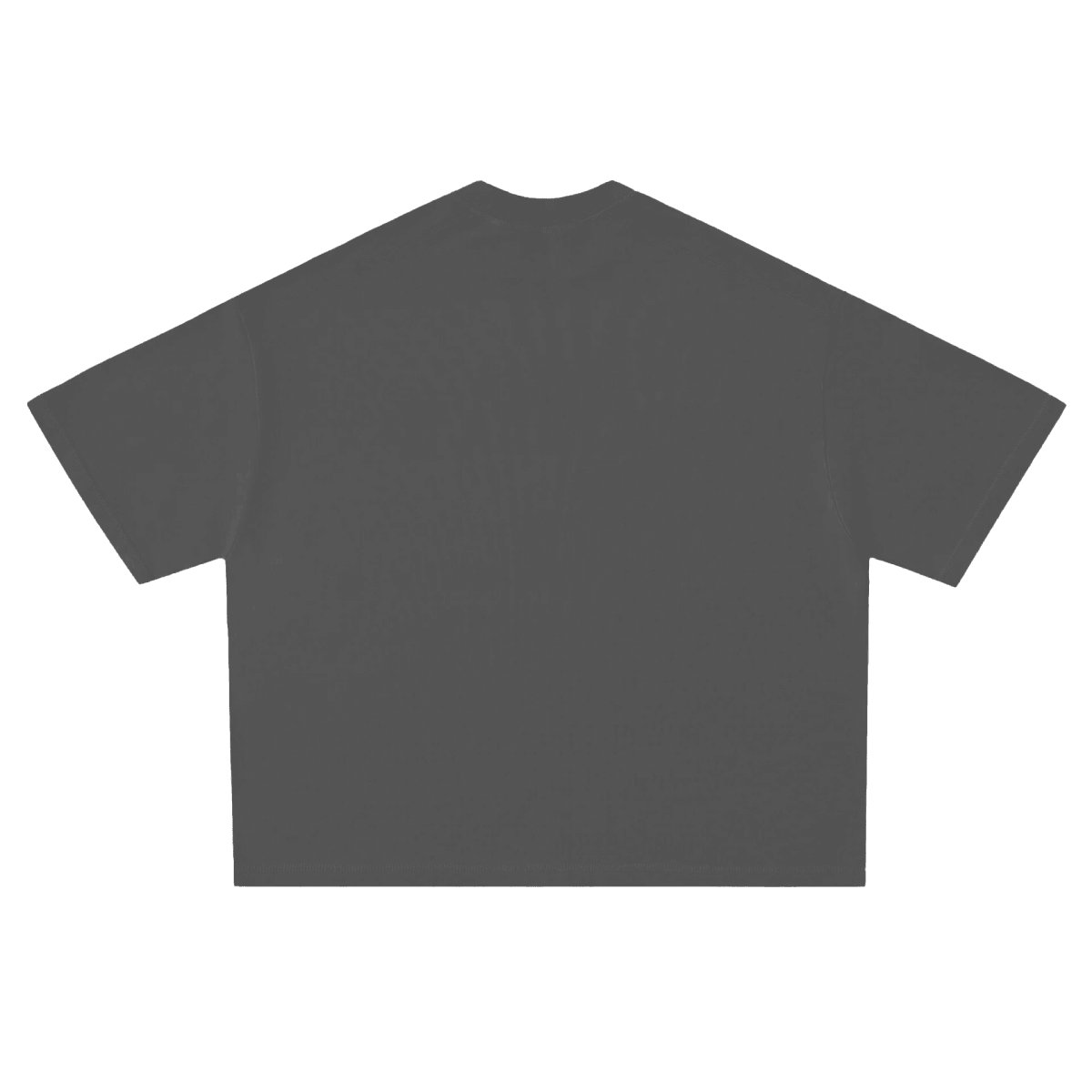 Polera Crystals Logo Heavyweight Grey - BANG GANG